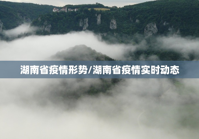 湖南省疫情形势/湖南省疫情实时动态
