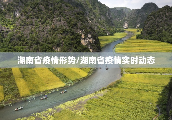 湖南省疫情形势/湖南省疫情实时动态