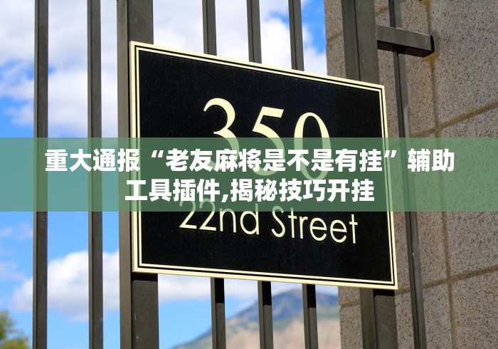 重大通报“老友麻将是不是有挂”辅助工具插件,揭秘技巧开挂