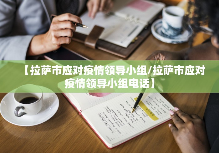 【拉萨市应对疫情领导小组/拉萨市应对疫情领导小组电话】