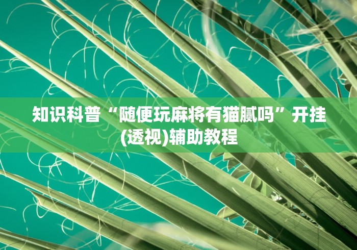 知识科普“随便玩麻将有猫腻吗”开挂(透视)辅助教程
