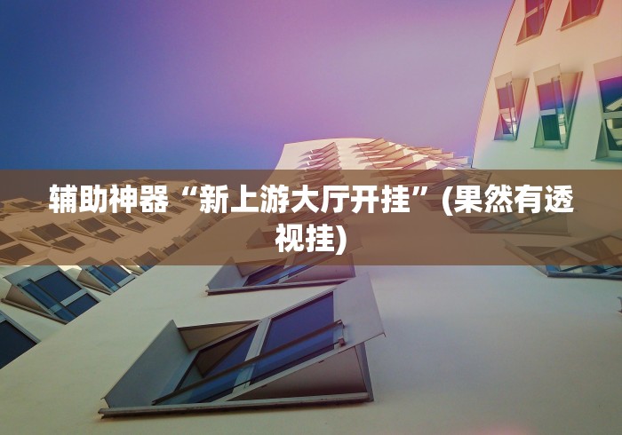 辅助神器“新上游大厅开挂	”(果然有透视挂)