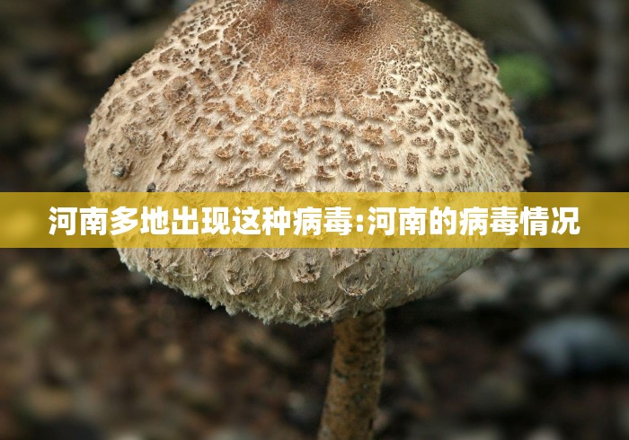 辅助神器“中至转转麻将究竟可以开挂吗	”开挂辅助脚本+详细开挂