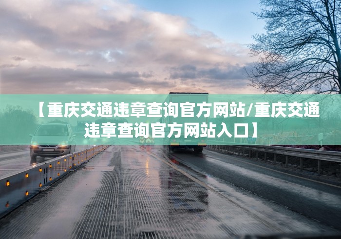 【重庆交通违章查询官方网站/重庆交通违章查询官方网站入口】
