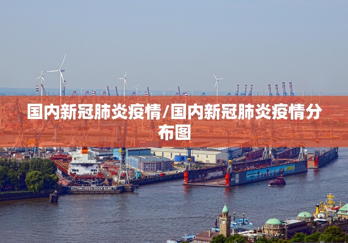 国内新冠肺炎疫情/国内新冠肺炎疫情分布图