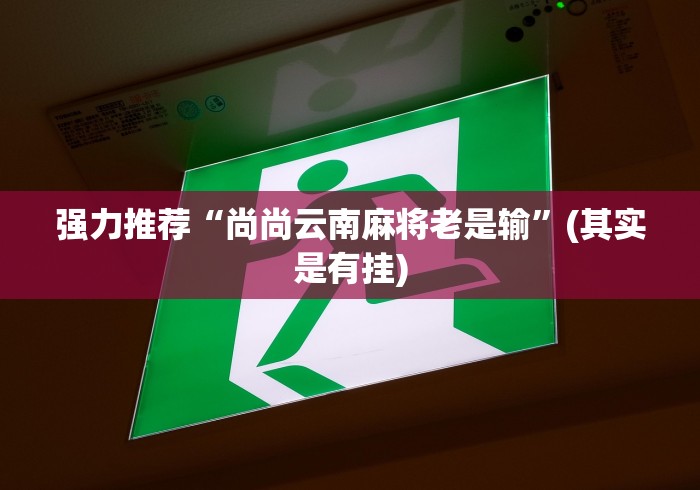 强力推荐“尚尚云南麻将老是输”(其实是有挂)