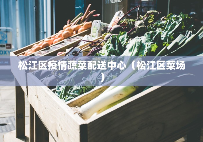 松江区疫情蔬菜配送中心（松江区菜场）