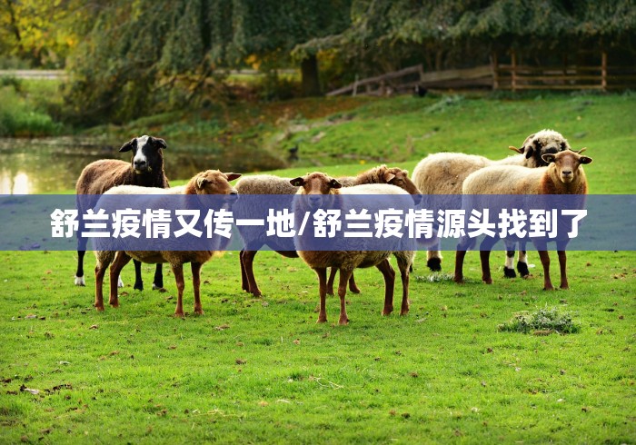 舒兰疫情又传一地/舒兰疫情源头找到了