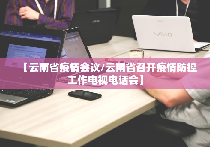 【云南省疫情会议/云南省召开疫情防控工作电视电话会】