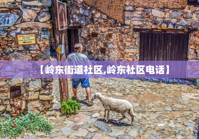 【岭东街道社区,岭东社区电话】