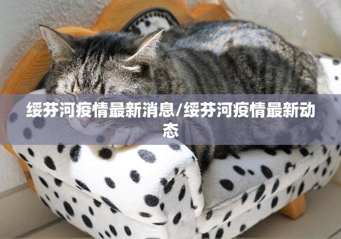 绥芬河疫情最新消息/绥芬河疫情最新动态
