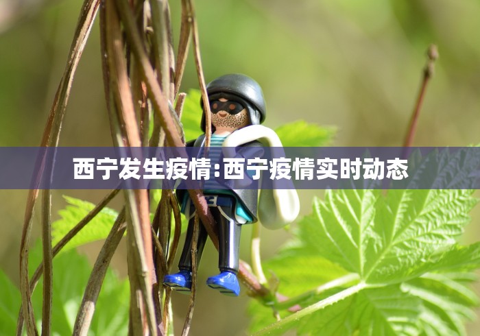 西宁发生疫情:西宁疫情实时动态