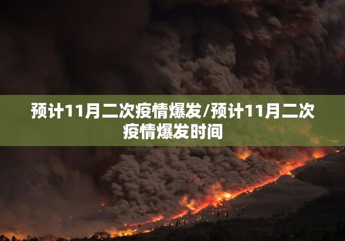 预计11月二次疫情爆发/预计11月二次疫情爆发时间
