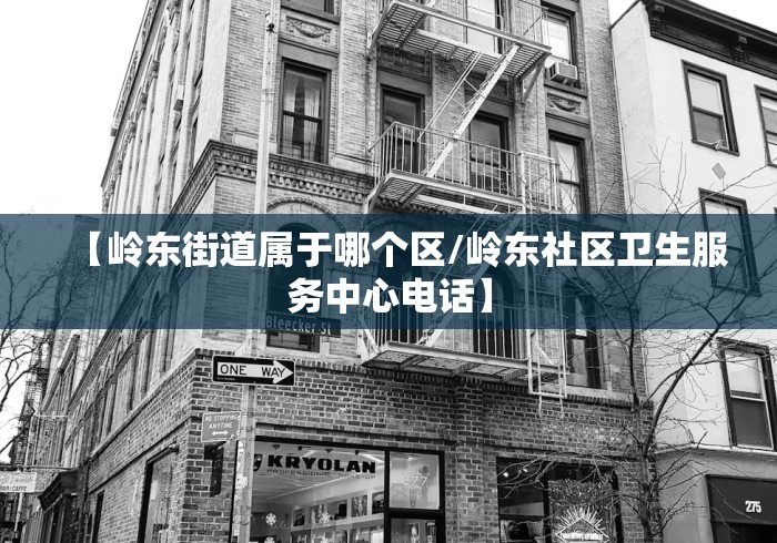【岭东街道属于哪个区/岭东社区卫生服务中心电话】