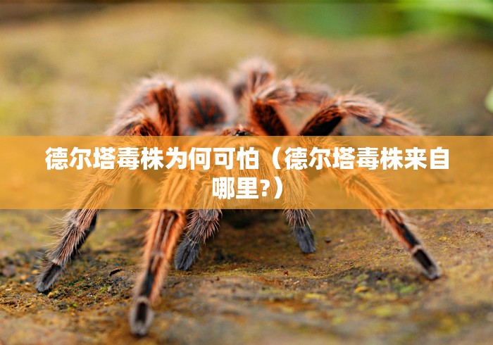 德尔塔毒株为何可怕（德尔塔毒株来自哪里?）