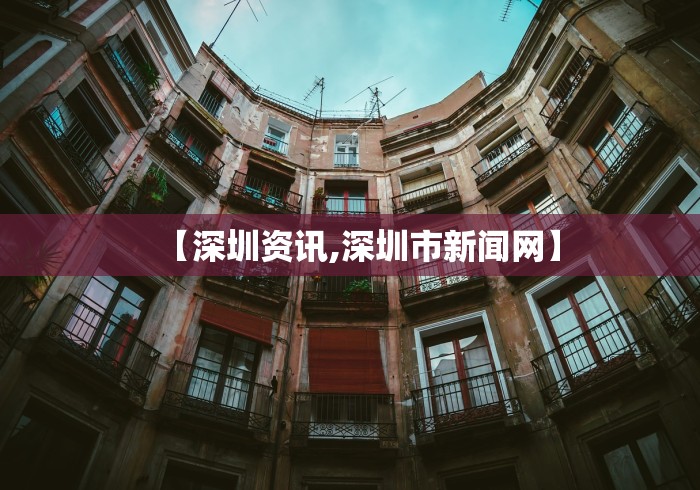 【深圳资讯,深圳市新闻网】