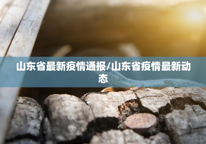 山东省最新疫情通报/山东省疫情最新动态
