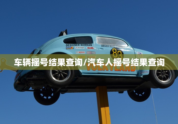 车辆摇号结果查询/汽车人摇号结果查询