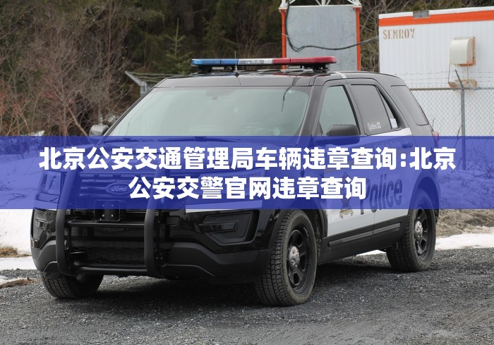 北京公安交通管理局车辆违章查询:北京公安交警官网违章查询 北京公安交通管理局车辆违章查询:北京公安交警官网违章查询