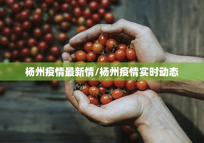 杨州疫情最新情/杨州疫情实时动态
