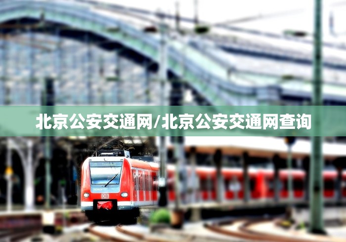 北京公安交通网/北京公安交通网查询