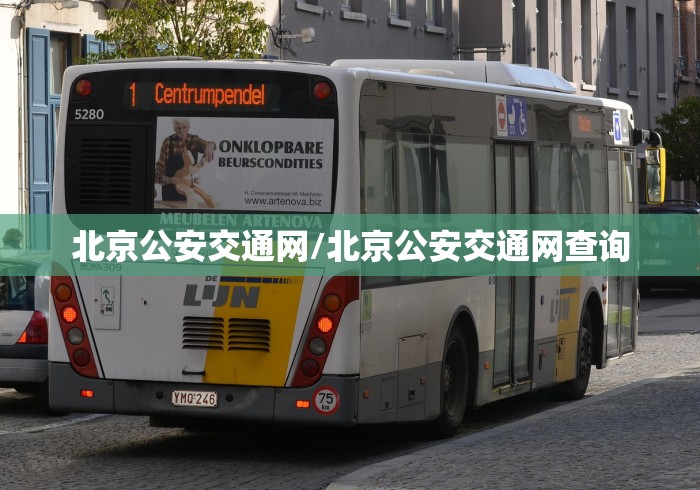 北京公安交通网/北京公安交通网查询