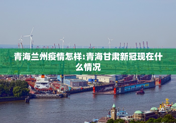 青海兰州疫情怎样:青海甘肃新冠现在什么情况