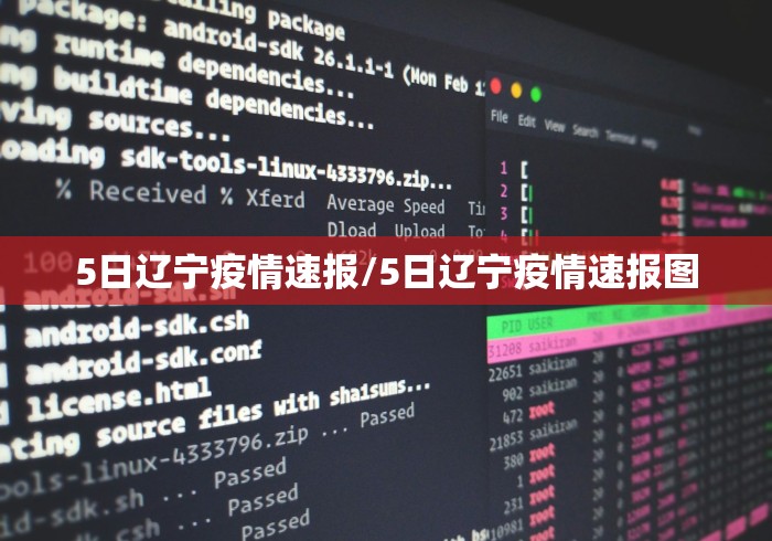 5日辽宁疫情速报/5日辽宁疫情速报图 5日辽宁疫情速报/5日辽宁疫情速报图