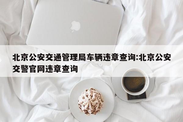 北京公安交通管理局车辆违章查询:北京公安交警官网违章查询